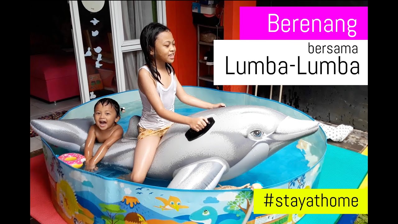 Berenang sama Lumba Lumba - YouTube