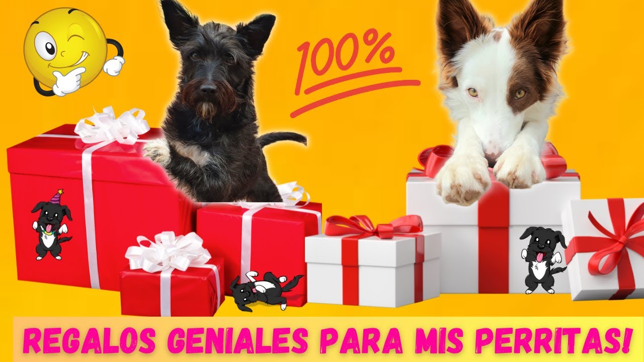 6 REGALOS GENIALES para mis PERROS Lana y Mel /  Aliexpress 11.11