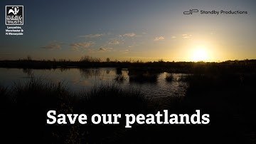 Save our peatlands