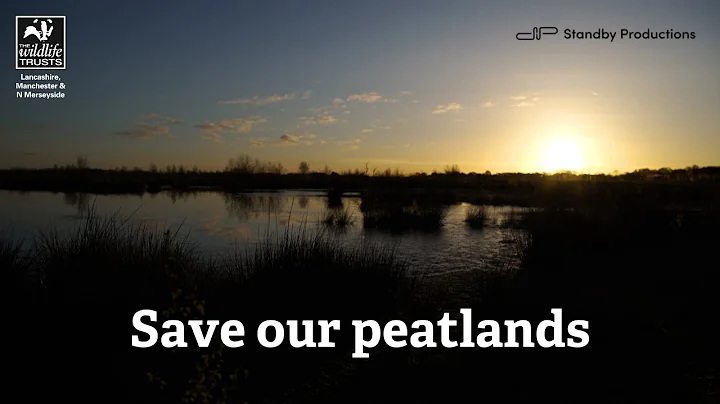 Save our peatlands