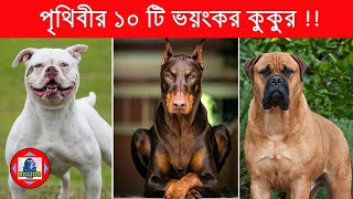 The 10 most dangerous dogs in the world!! | Most dangerous dog in the world | Billion Facts