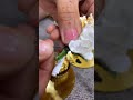 بوقلات عرايس