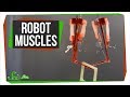 Why Scientists are Giving Robots Human Muscles