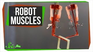 Why Scientists are Giving Robots Human Muscles