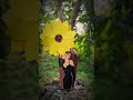 sunflower 🌻#trendingshorts #explorepage #art #diy #painting #craft #vairalvideo #vairalshort #viwes