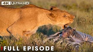 Wild Savannah | Nature’s Most Extraordinary Moments | FULL EPISODE | Wildlife Documentary
