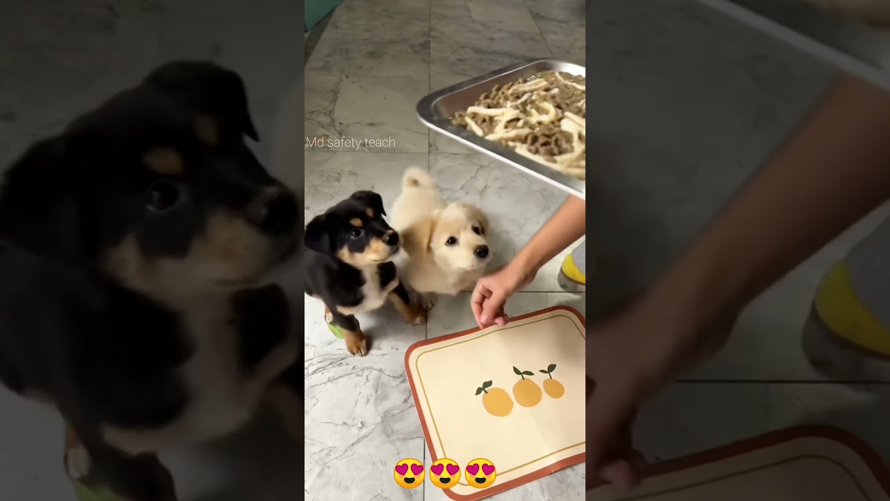 குடுத்தா கொடுப்பேன் 😍 