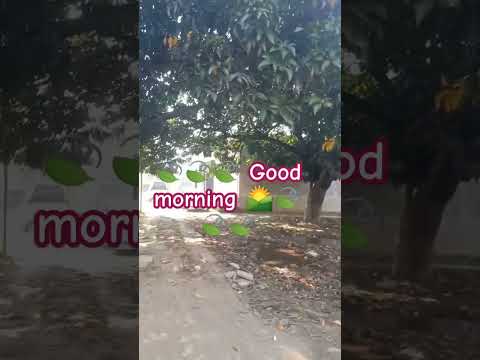 #good morning 🌄🍃🍃#viral #song #shortvideo
