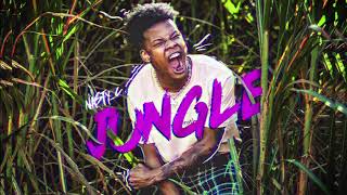 Nasty C "Jungle" Official Audio