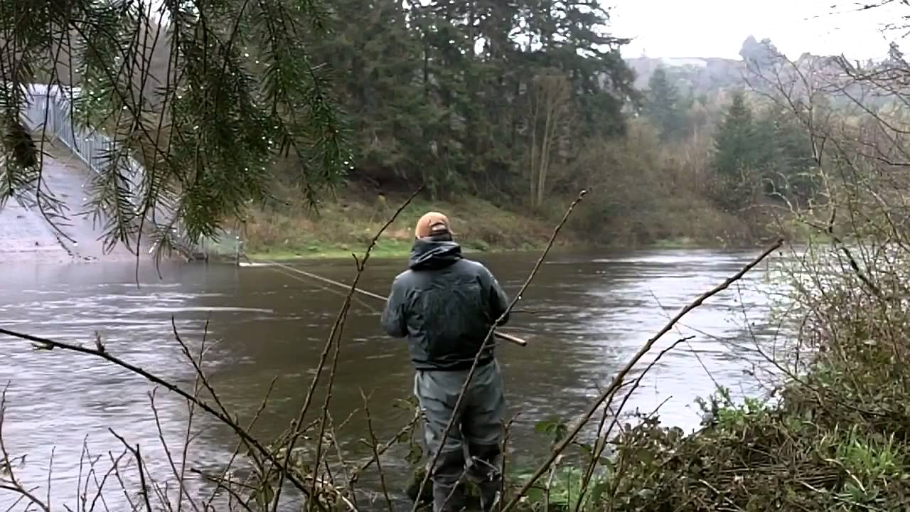 Salmon Fishing Ireland 2014 YouTube