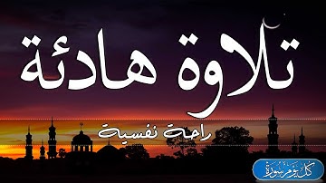 تلاوة هادئة تريح الاعصاب💚 قران كريم بصوت جميل جدا جدا | سورة فصلت