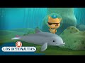 Los Octonautas Oficial en Español - El delfín perdido