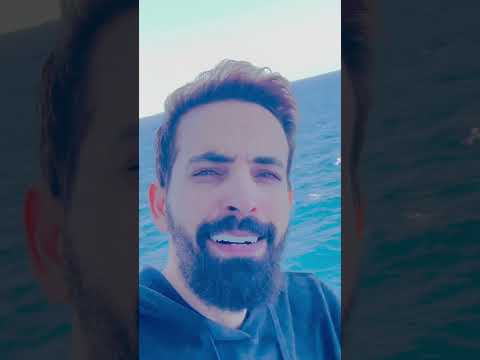 وحشنى محمودعباده