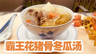 【壓力鍋煲湯 广东靓汤】霸王花豬骨冬瓜胡羅蔔湯 /Instant Pot Soup 电压力锅煲汤 广东汤 by 退休了 像风一样自由 278 views 3 months ago 8 minutes, 1 second