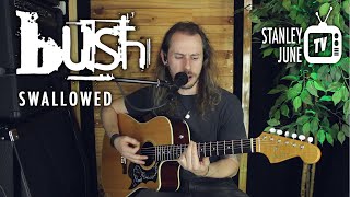 Swallowed - Bush (Stanley June Acoustic Cover)