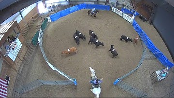 Big Sky Ranch Sorting Saddle Series #4 - #3 SORT - Round #1 - Ride #39