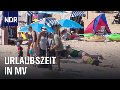 Video: 5 Möglichkeiten, den Urlaubsstress Ihres Haustieres zu reduzieren