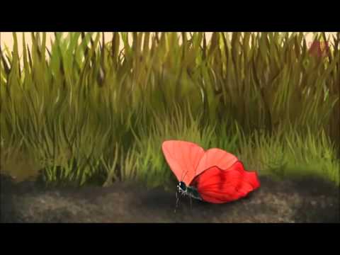 Притча о бабочке