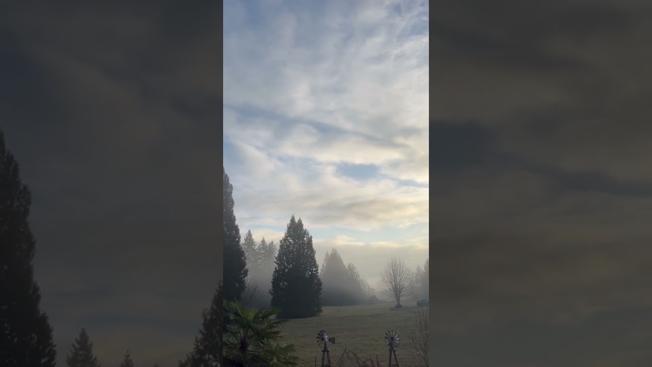 Dr. Huberman on EMDR therapy! 