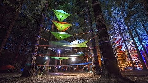 Camp in the trees : Tentsile "connect" tree tent - double hammock