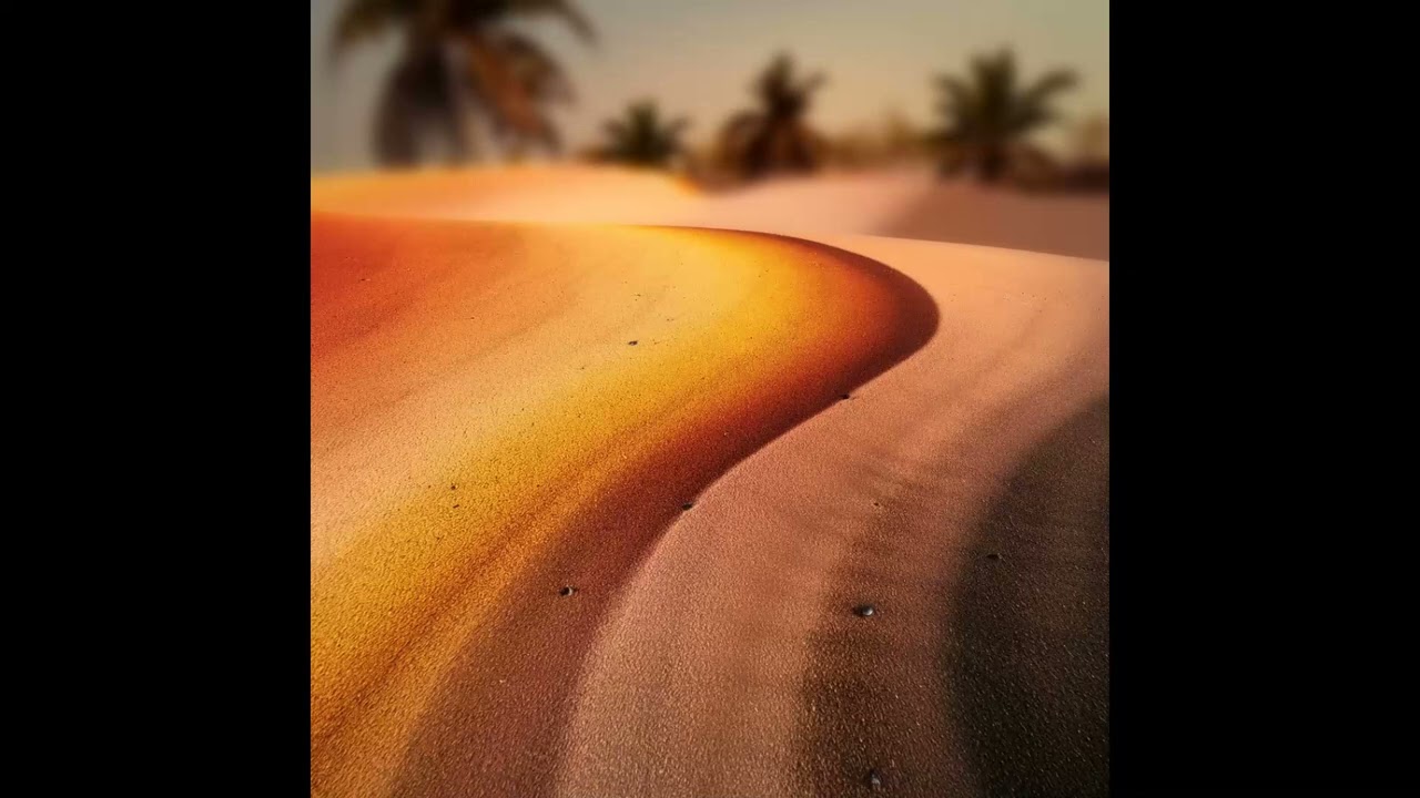 Equinox – Organic House / Downtempo Type Beat