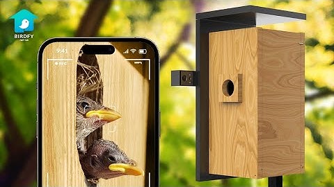 Birdfy Nest A Dual Camera Smart Bird House - Birdfy Nest: A Dual-Camera Smart Bird House