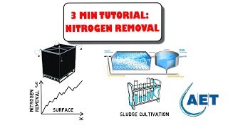 Increase Nitrogen removal