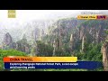 Live: Let your spirit soar among the stone pillars at Zhangjiajie National Forest Park – Ep. 7