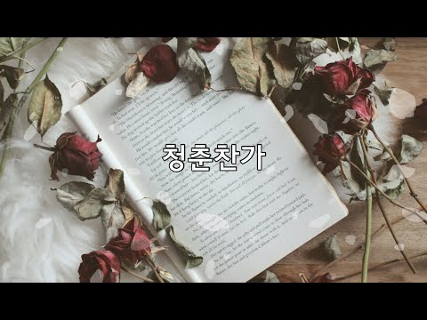 Cheers to you - SEVENTEEN