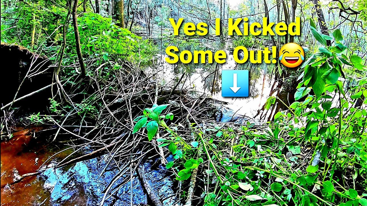 Mother Beaver Dam 2 Has Been Stoutly Rebuilt Let s Ride The Z400