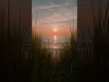 [TWE] Tall Grass Sunset (Video)