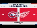 Nhl highlights  canadiens vs red wings  april 15 2024