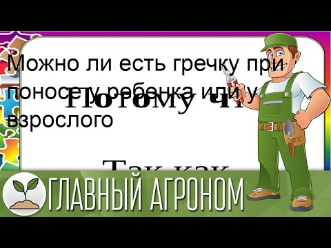 Можно ли есть гречку при поносе у ребенка или у взрослого