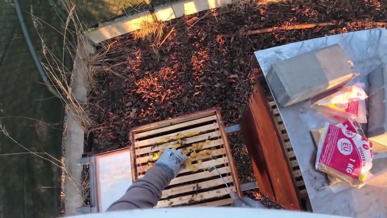 Kontrola vyzimovaného oddělku.