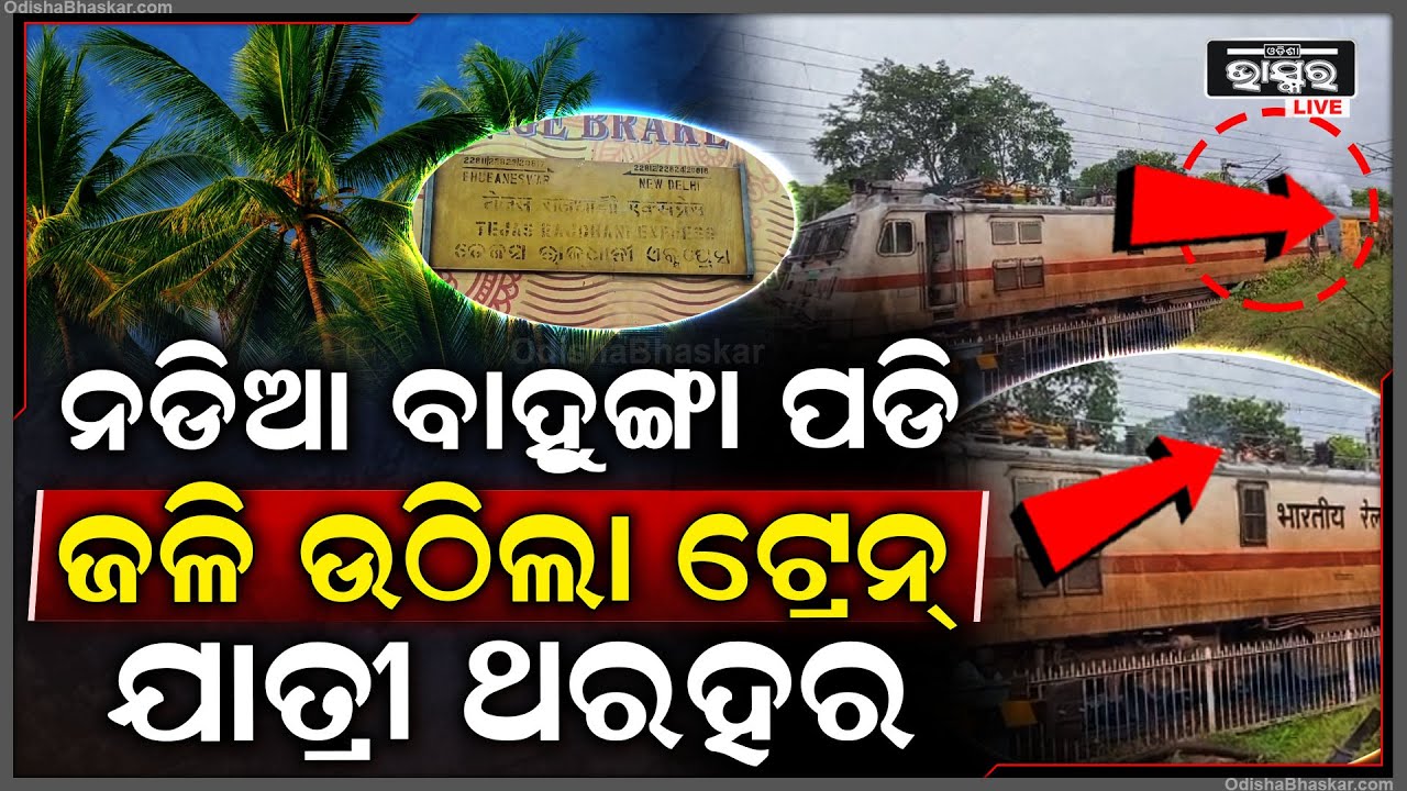 ଟ୍ରେନ୍ ଉପରେ ଭାଙ୍ଗି ପଡିଲା ନଡିଆ ବାହୁଙ୍ଗା, ନିଆଁ ଲାଗି ହୁତୁହୁତୁ ହୋଇ ଜଳିଉଠିଲା ଟ୍ରେନ୍ । ଆଉ ତା'ପରେ...