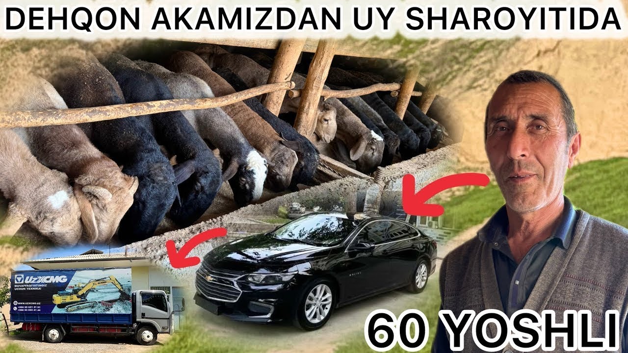60 YOSHLI  OTAHONDAN QO’Y BOQISH DEHQON TOGAMIZDAN