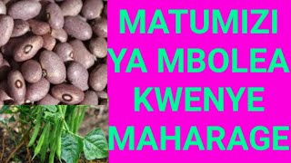 KILIMO  CHA  MAHARAGE:  MATUMIZI YA MBOLEA