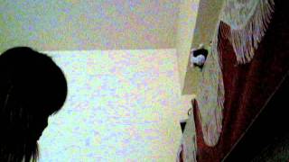 Download Lagu piano  the reason that u leave MP3