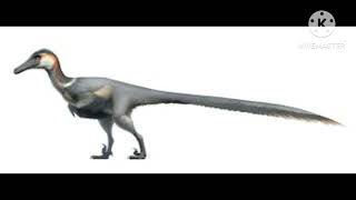 austroraptor's sounds
