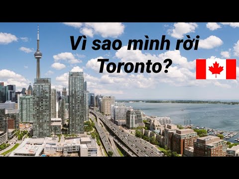 Video: Hiệu sách tốt nhất ở Toronto