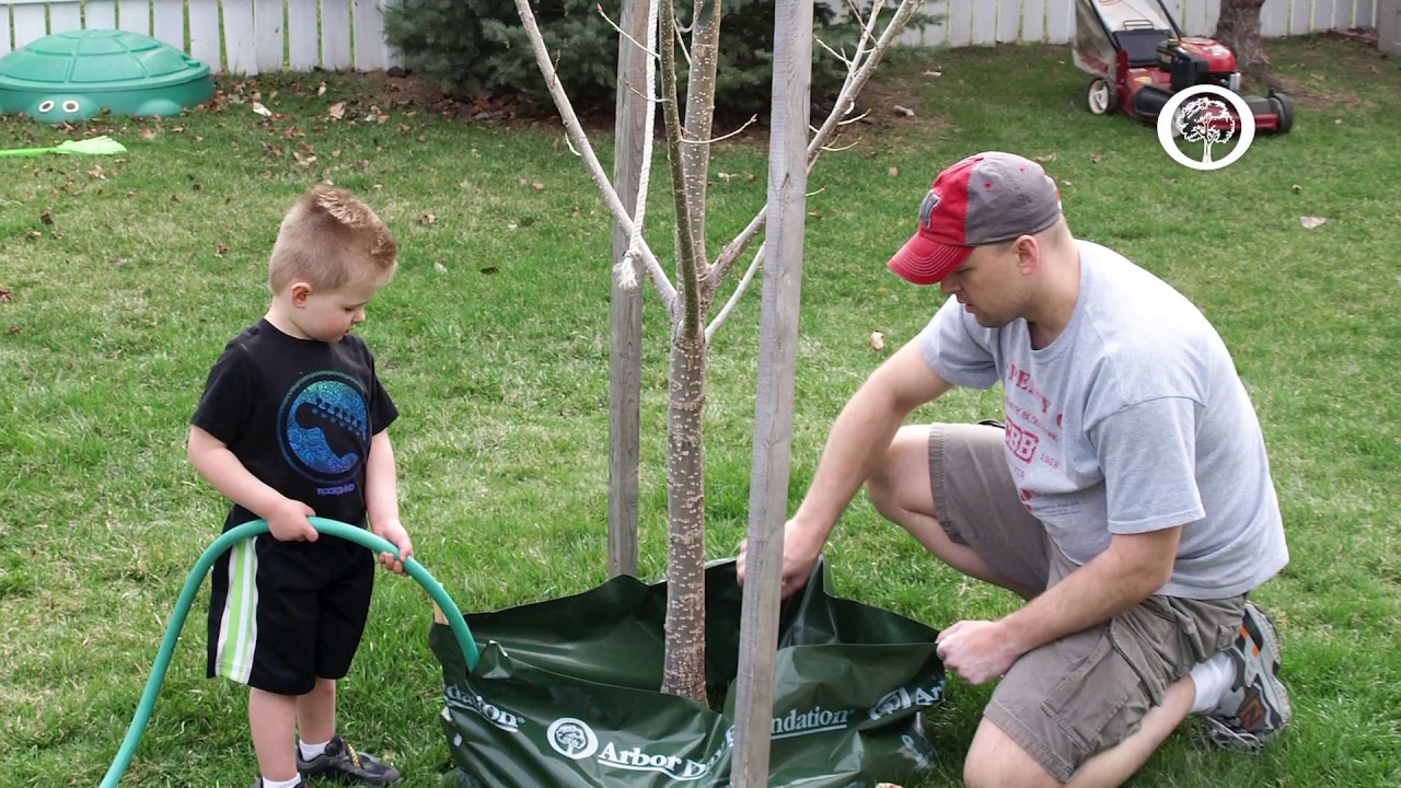 Ask an Arborist How do I use Arbor Day Foundation Tree Care Products