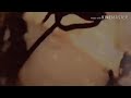 شيلة همدان همدان جديد أبو حنظله حصريآ 2019 