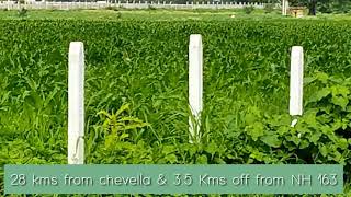 3 Acres 30 Guntas Agricultural Land for sale - 28 Kms from Chevella. @Vikarabad (SOLD OUT)