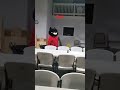 Cat?