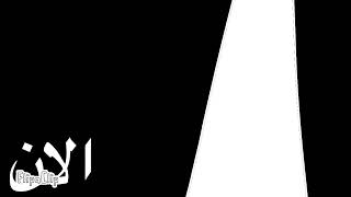 Mbc3 Now Template Show 2011-2021