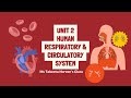 Class 7 | Science | Unit 2 | Human Respiratory &amp;  Circulatory System | FBISE