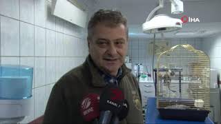 Murat Özdemir’in işkence ettiği papağan, yarın ameliyata alınacak