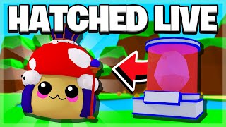 TOP 15 SECRET PETS HATCHED ON CAMERA! Roblox Bubble Gum Simulator!