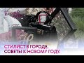 Качество жизни - Надежда Казначеева. Стилист в городе. Модные встречи и советы на Новый год