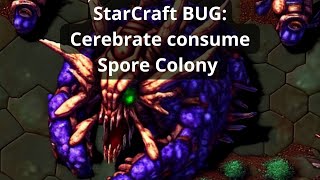 Bug Cerebrate Consume Spore Colony Starcraft Broodwar